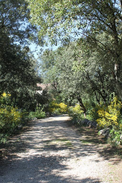 Villa A L'Est D'Uzes Saint-Siffret Exterior foto